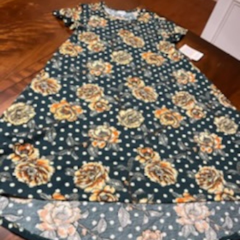 COPY - Very Beautiful Hi-Lo Style Floral Print LuLaRoe Carly Dress - XS, New